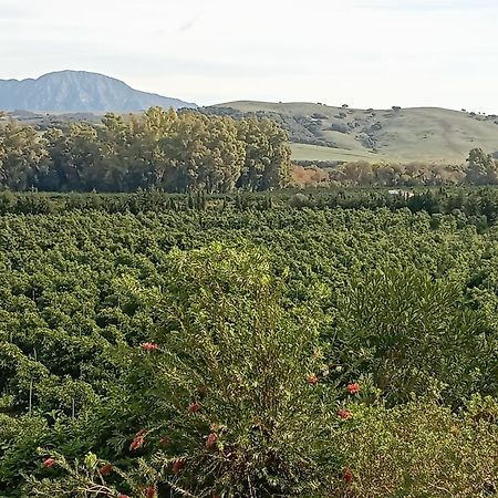 Los Dos Cedros San Pablo Extérieur photo